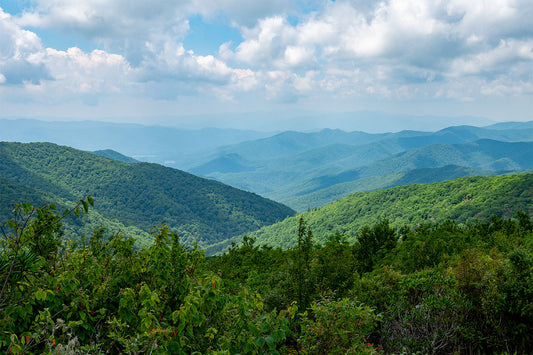 Hiking Rocky Top in the Summer of 2024 in the Great Smoky Mountains National Park