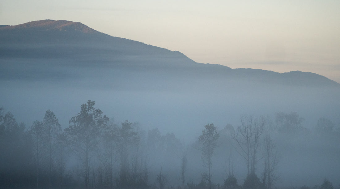 My Top 3 Favorite Fall Hikes in the Smoky Mountains National Park