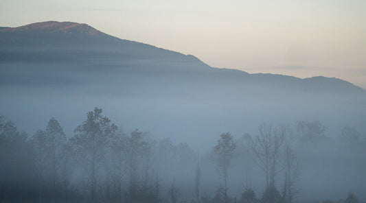 My Top 3 Favorite Fall Hikes in the Smoky Mountains National Park