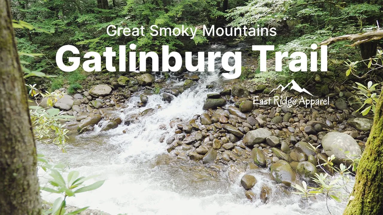 Load video: Gatlinburg Trail - Dog Friendly Trail in the Great Smoky Mountains National Park